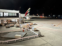 �G�~���[�c�q��