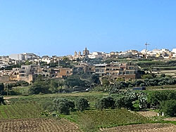 �ԑ�����̒���