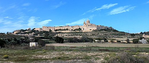 �Ós�C���f�B�[�i