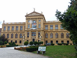 �v���n�s������