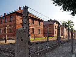 �A�E�V���r�b�c������Ŏ��e��